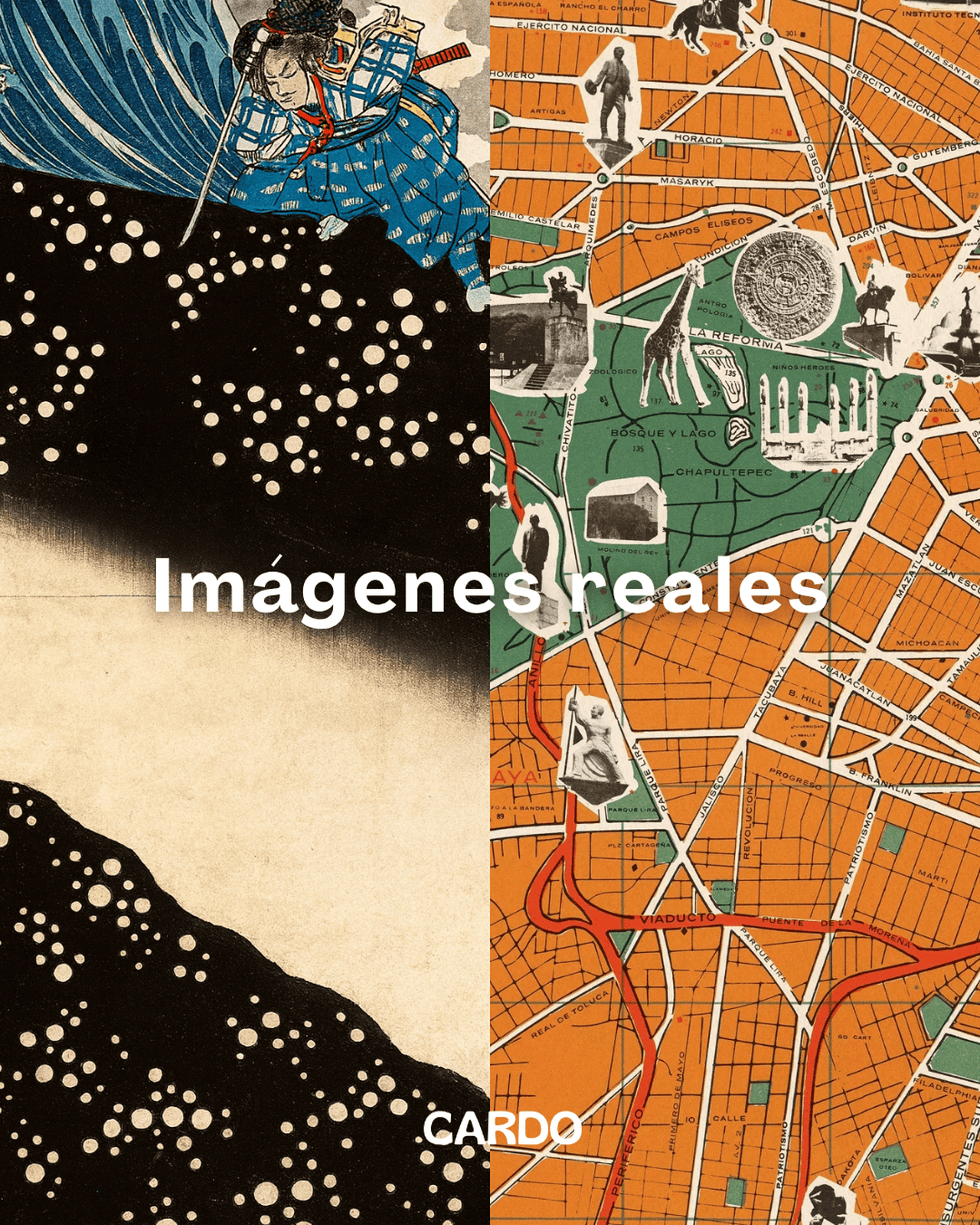 Set Van Gogh