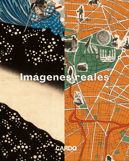 Set Van Gogh