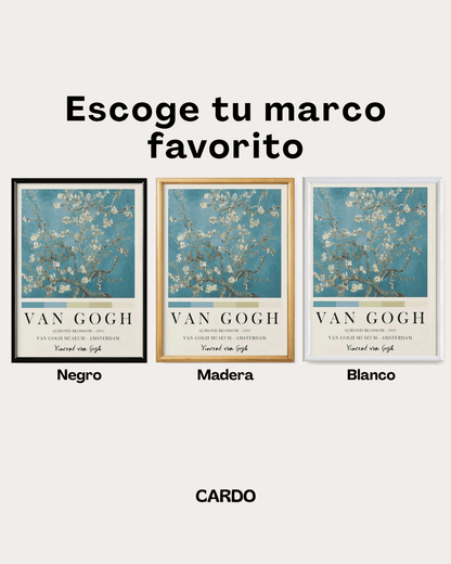 Set Gaviotas